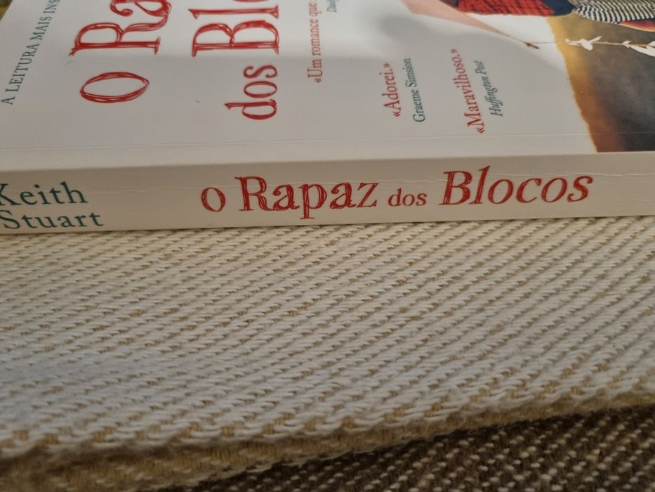 Livro O Rapaz dos blocos
