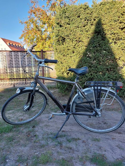 Rower Gazelle męski