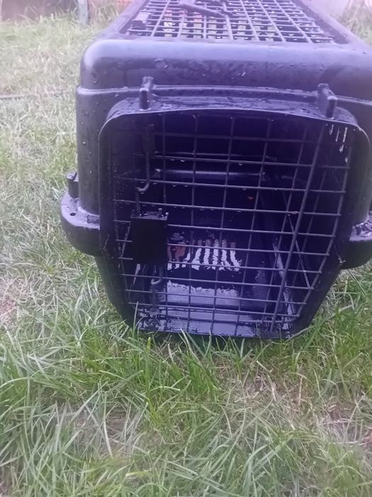 Sprzedam transporter dla zwierząt