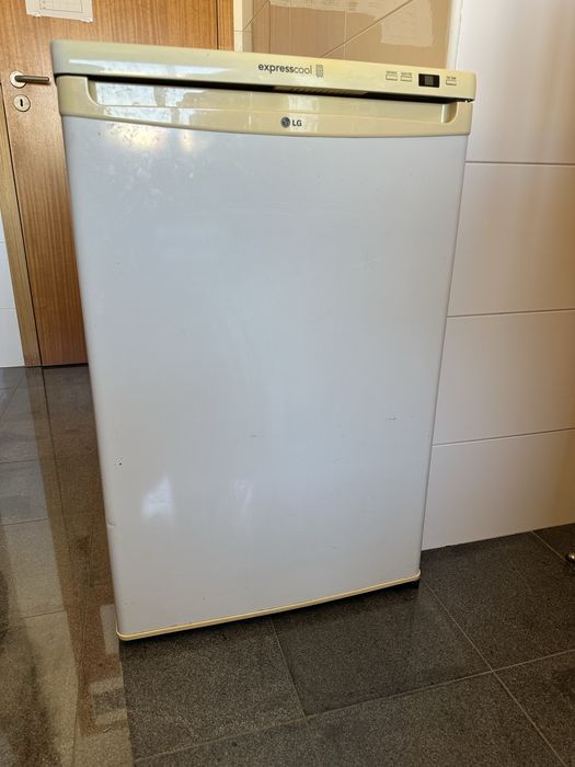 Mini Arca Congeladora LG 100L (85cm)