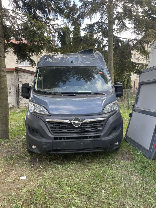Ducato movano jumper