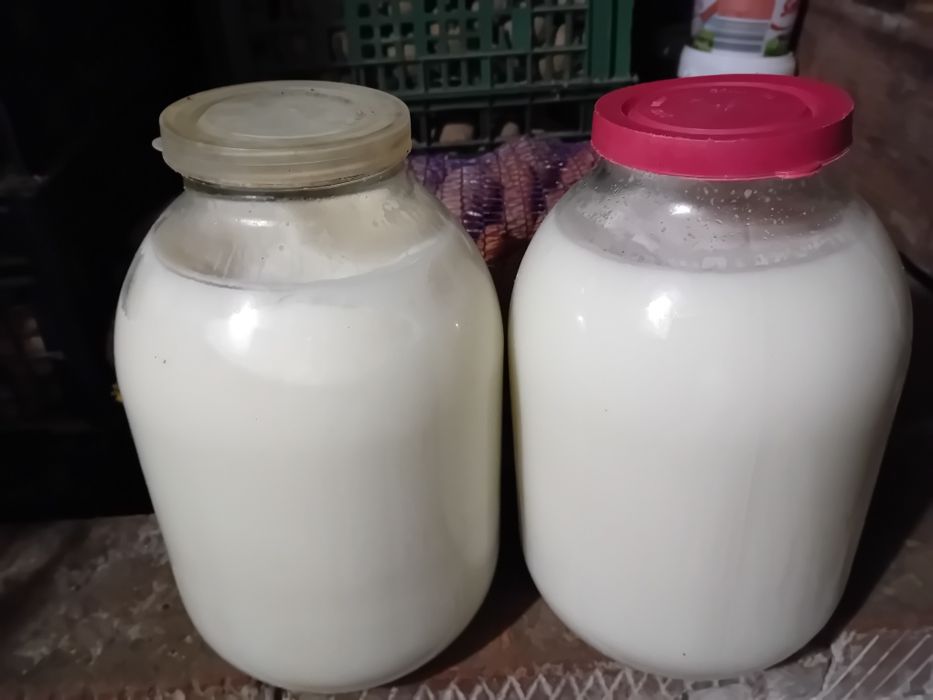 Смалець домашний