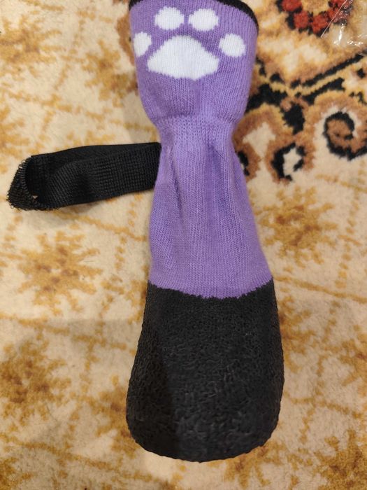 Взуття для собаки