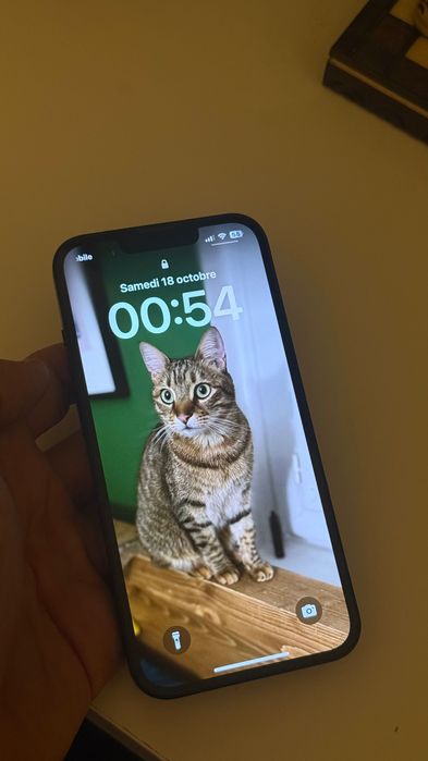 iPhone 13 128GB – Tudo a funcionar perfeitamente!