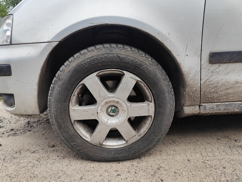 продам Шаран на повному ходу