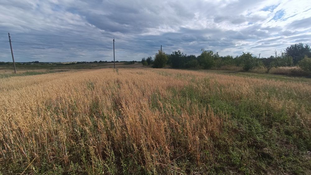 Продаж земельної ділянки в с. Промінь, Луцького району