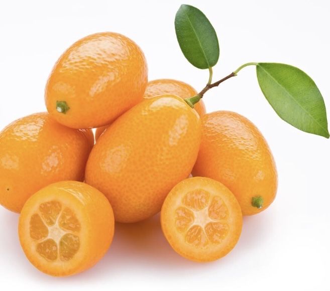 Kumquat Biológico