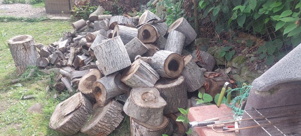 Sprzedam orzech włoski