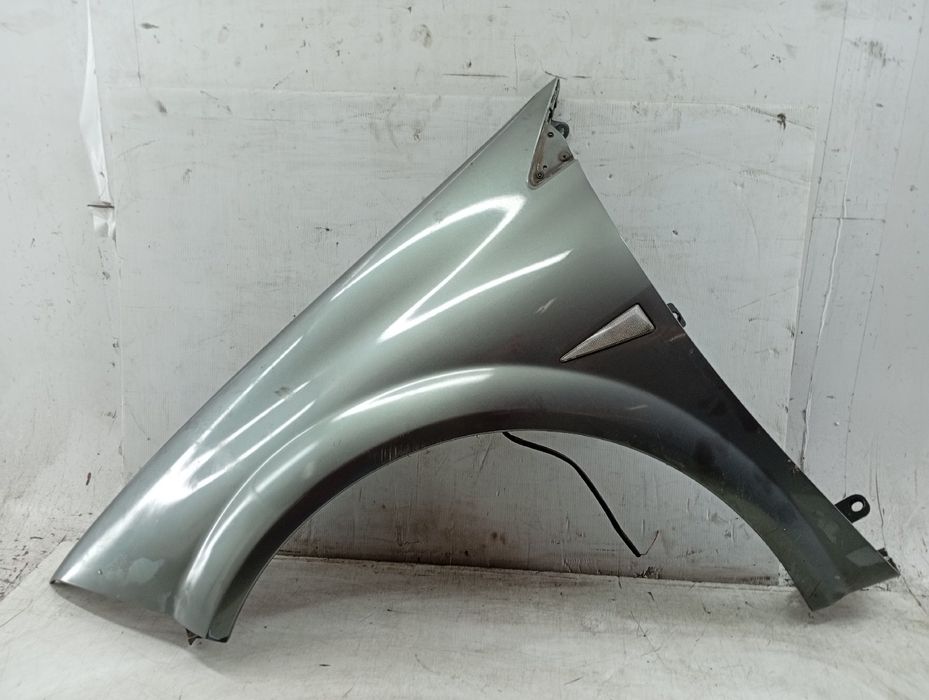 Guarda Lamas Esquerdo - RENAULT Megane II (BM0/1_, CM0/1_) | 01 - 12
