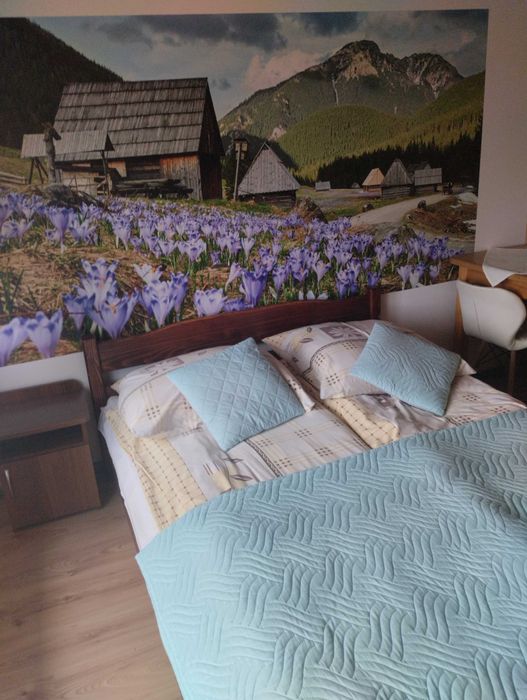 Noclegi Bukowina Tatrzańska !