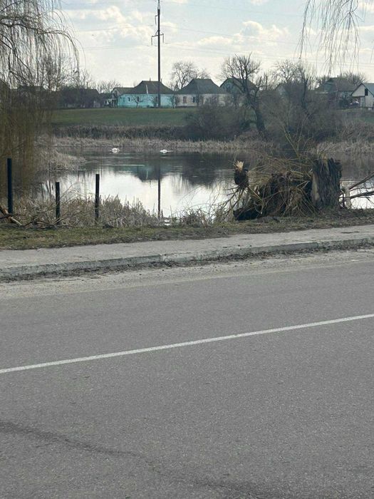 Цікава пропозиція для втілення мрій! Продаж будинку в Малій Вільшанці.