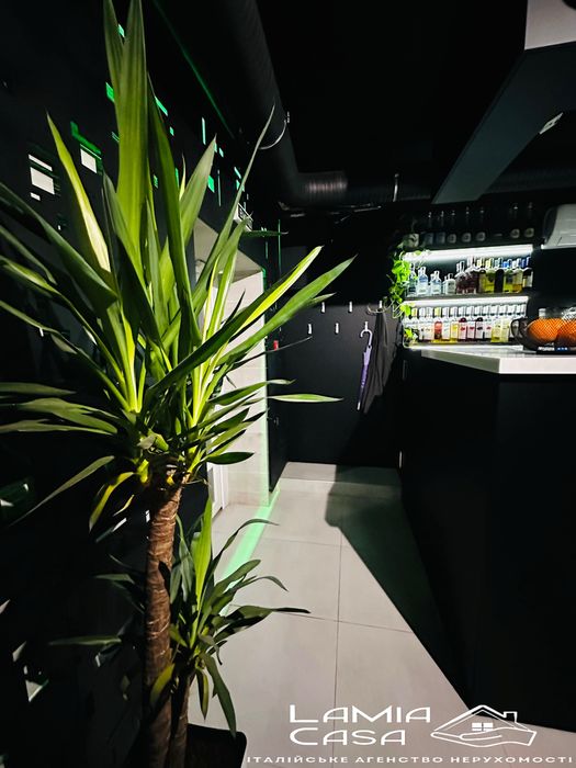 Продаж працюючого закладу. Небесна сотня (Стасюка)