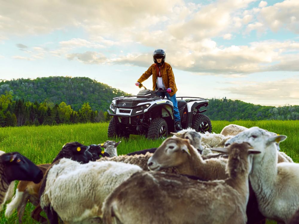 business-site-gallery-photo