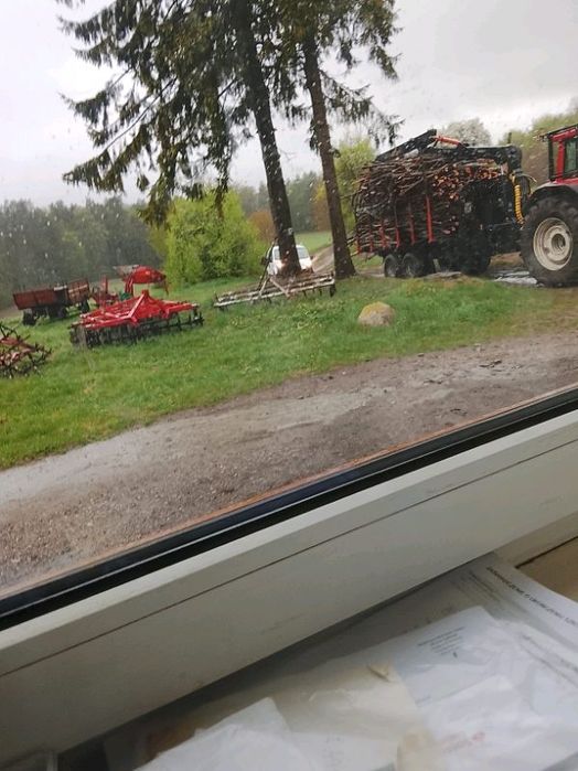 Usługi Ogrodnicze, wycinka drzew, transport