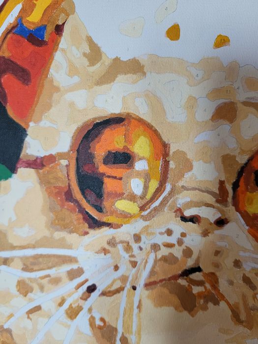 Картини котиків намальовані (за номерами)