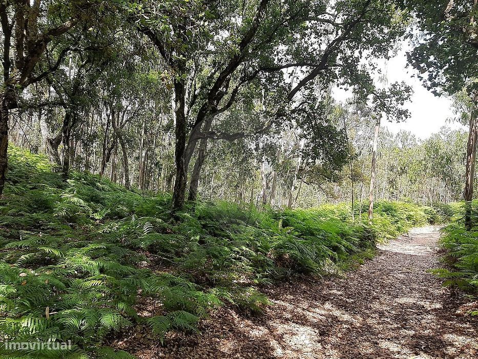 Terreno  para venda — Venda Do Pinheiro E Santo Estêvão Das Galés, Lisboa