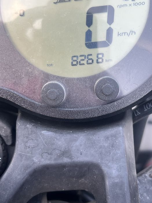 benelli leoncino 500