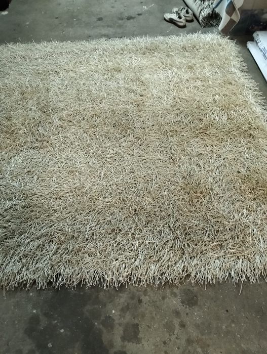 Carpetes como novas