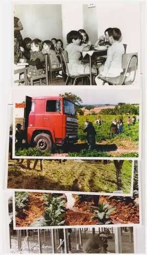 35 Postais-Os 35 Anos Da Reforma Agrária Em Portugal-Município de Avis