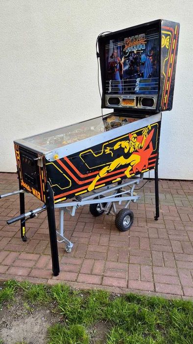 flipper ,fliper LASER WAR i FIRE - duży wybór zobacz