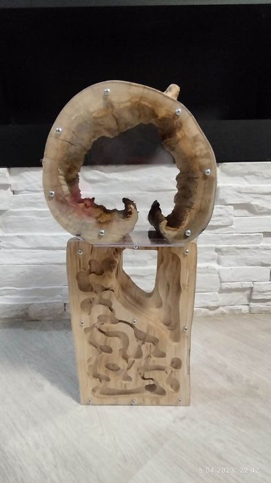 Formikularium dla mrówek