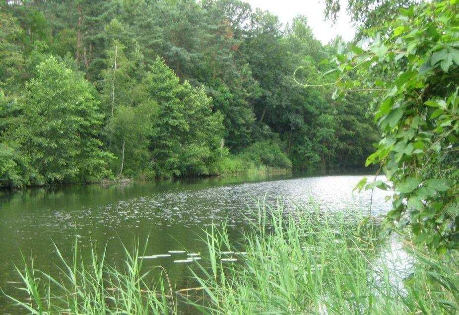 Działki budowlane dobra lokalizacja, atrakcyjna cena - View 5