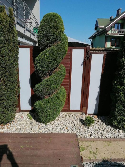 Profesjonalne usługi ogrodnicze