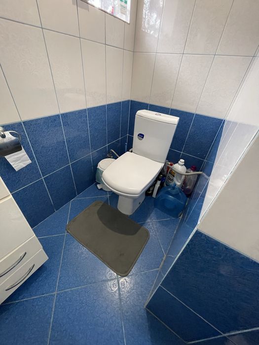 Продам будинок з меблями та технікою м.Гайсин