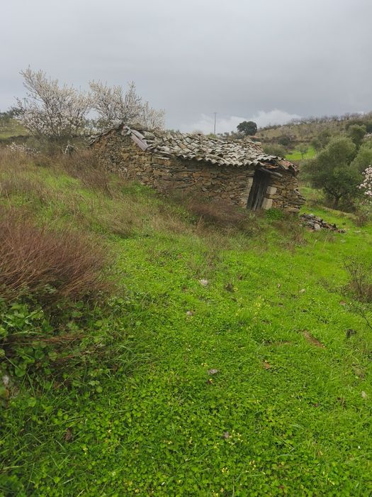 Terreno rústico em Moncorvo