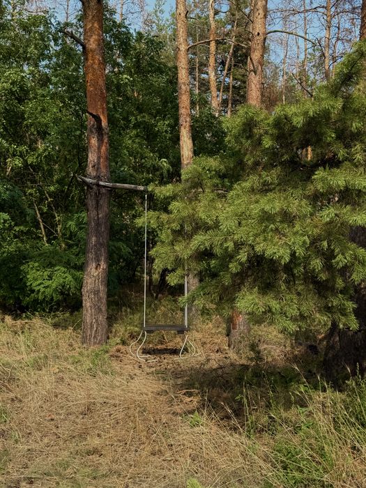 Аренда дом в лесу баня чан