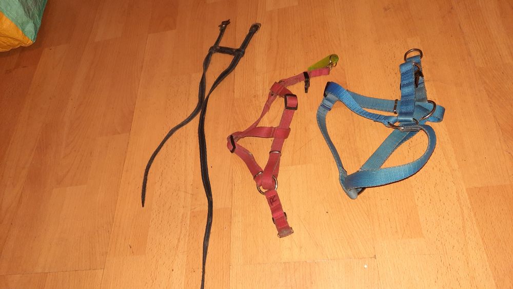 Smycz szelki  z woreczkami i szeklą dla psa,szelki dla psa i kota,ring