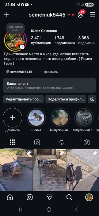 Блакитний з білим хлопчик з яскравим темпераментом.