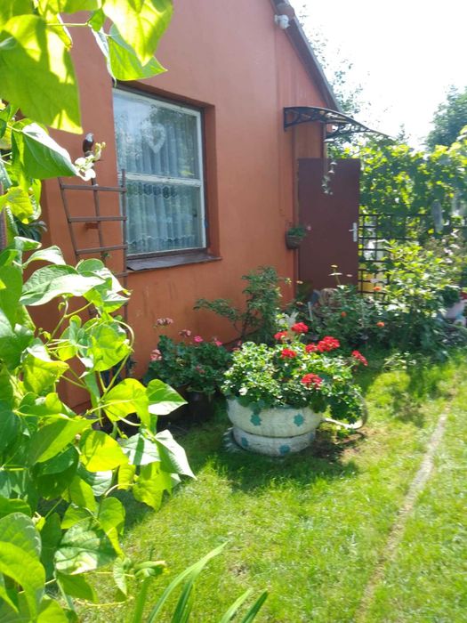 Działka ogrodnicza ROD, z altaną i szklarnią - Widok 2