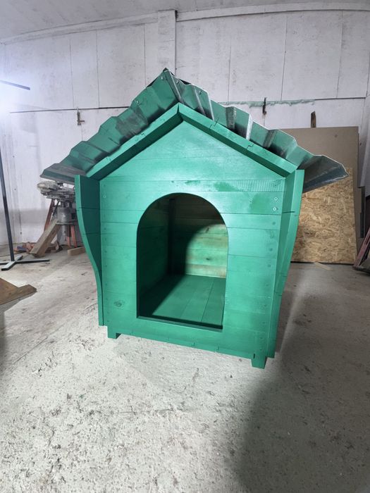 Буда для песика)