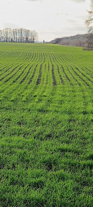 Продам агропідприємство Полтавська  область