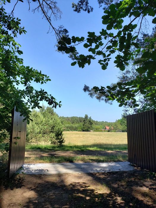 Domek nad jeziorem Pluski plaża pomost Pluski • OLX.pl