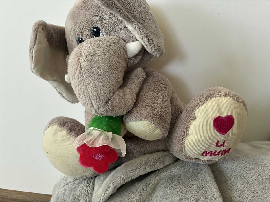 duża rodzinka słoni