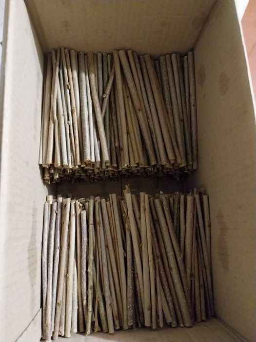 Гілочки для пухнастиків