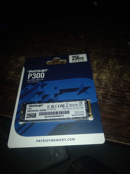 Dysk SSD P300 256GB M.2 PCIe Gen 3 x4 1700/1100