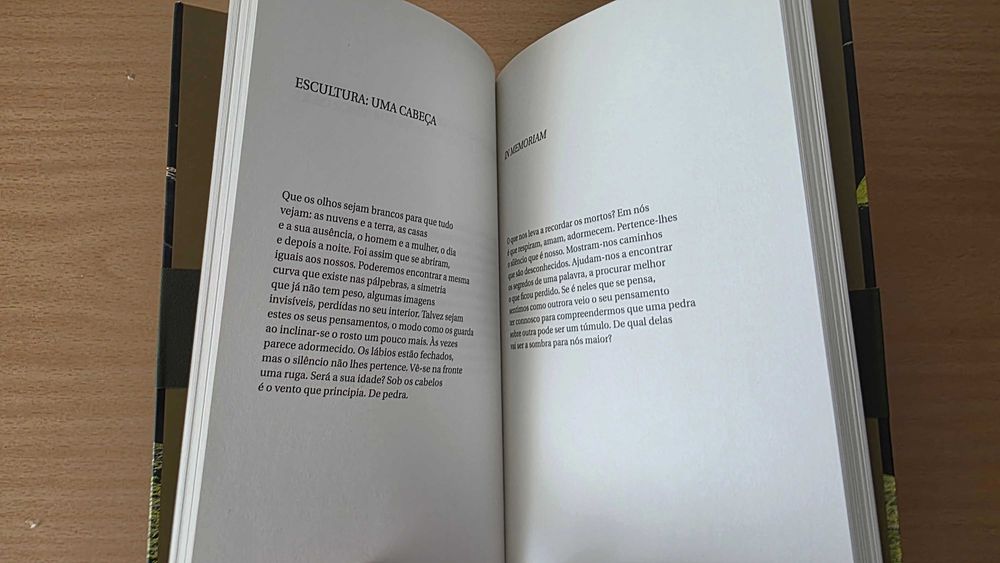 Livro de poesia "Junto à Pedra" de Fernando Guimarães