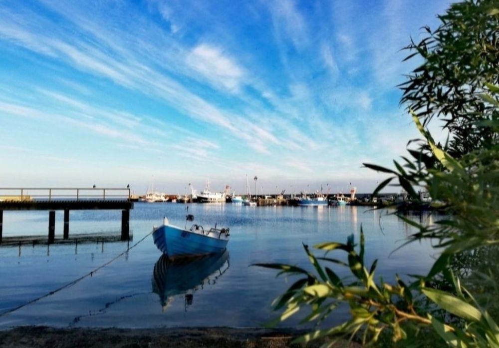 Wynajmę domek na Półwyspie Helskim