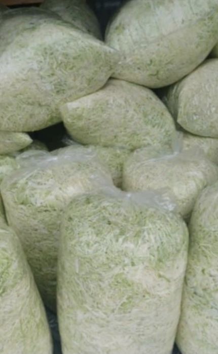 Kapusta w główkach i szatkowana