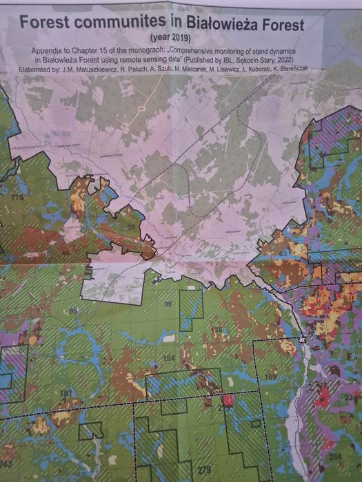Książka Bialowieza Forest  IBL nowa 5 map