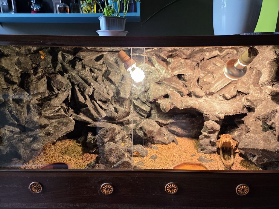 Terrarium pustynne 120x60x60 ze skałami i wyposażeniem