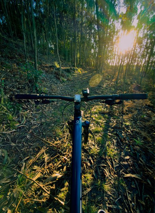 Bike Scott aspect 940  29’