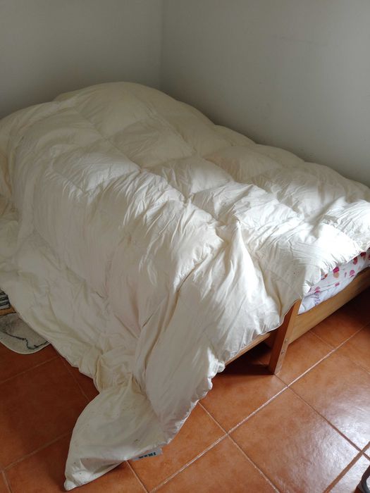 Edredon 100% penas (240 X 220 cm)