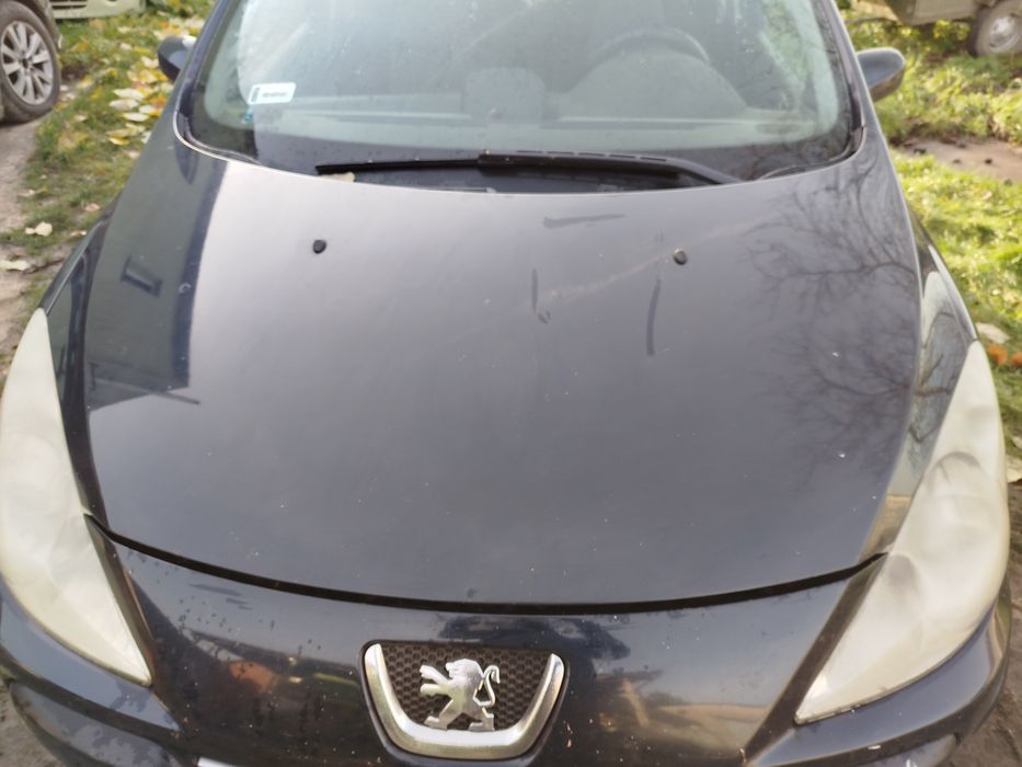 Peugeot 307 maska