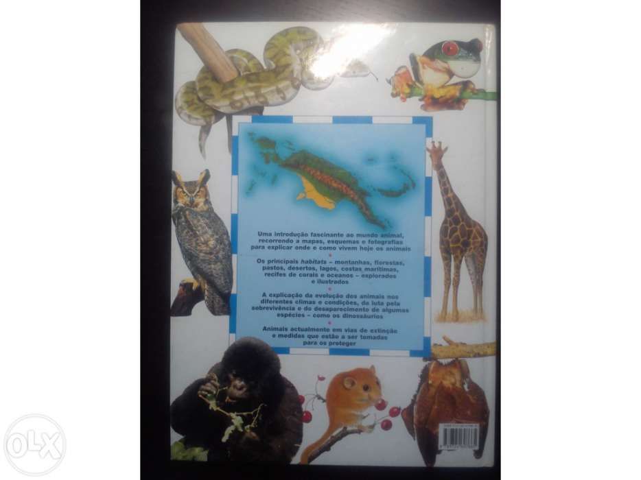Atlas Juvenil dos Animais - David Lambert