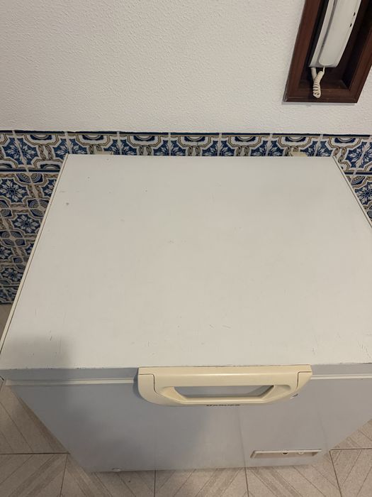 Freezer horizontal