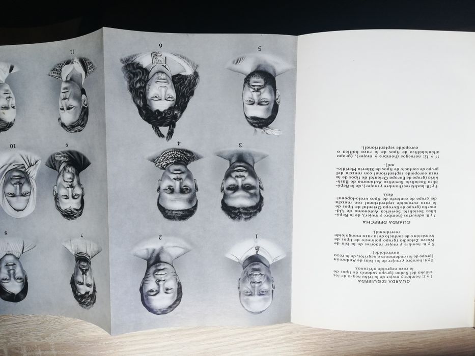 Las razas humanas MF Nesturj